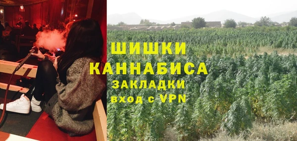 сатива Беломорск