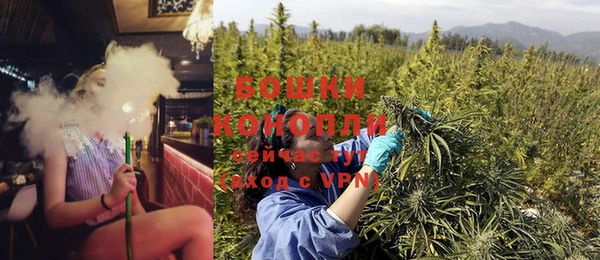 дживик Белокуриха