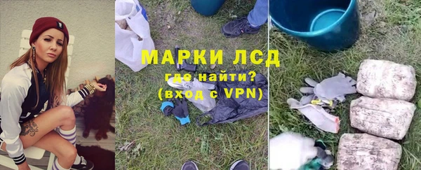 сатива Беломорск