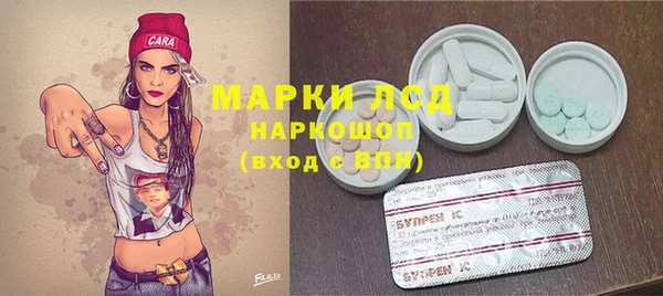 дживик Белокуриха