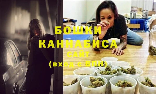 сатива Беломорск
