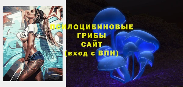 сатива Беломорск