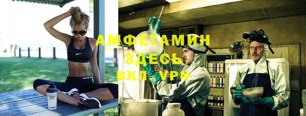 дживик Белокуриха
