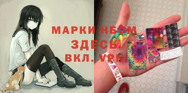 сатива Беломорск